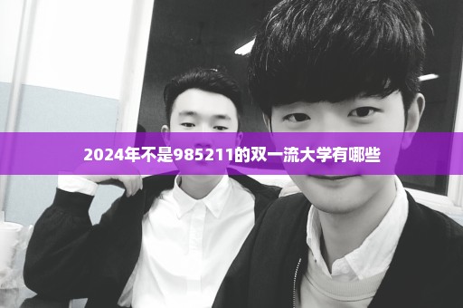 2024年不是985211的双一流大学有哪些