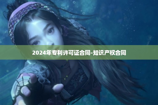 2024年专利许可证合同-知识产权合同