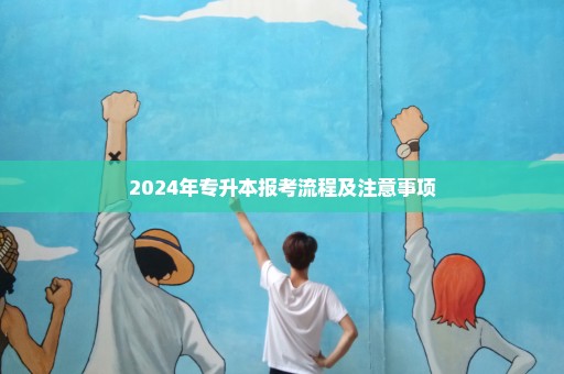 2024年专升本报考流程及注意事项