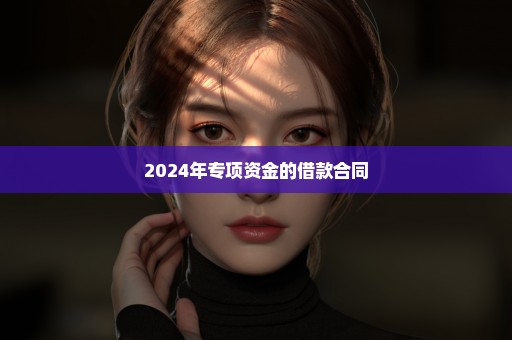 2024年专项资金的借款合同