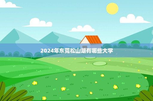 2024年东莞松山湖有哪些大学