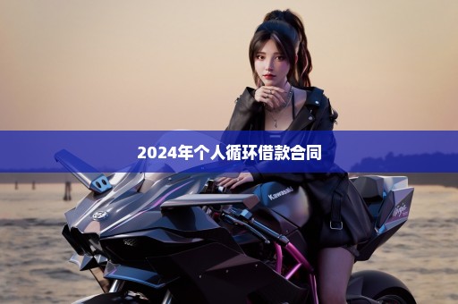 2024年个人循环借款合同