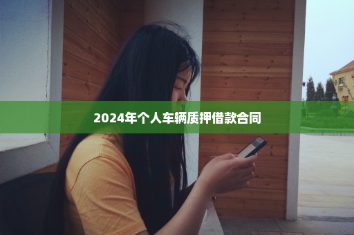 2024年个人车辆质押借款合同