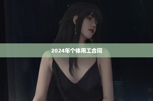 2024年个体用工合同