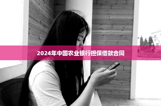 2024年中国农业银行担保借款合同