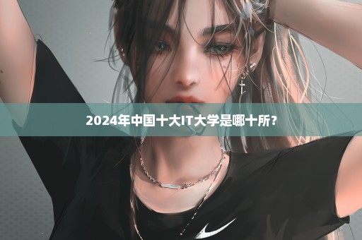 2024年中国十大IT大学是哪十所？