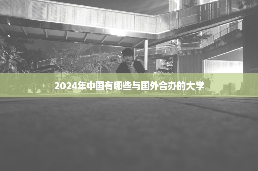 2024年中国有哪些与国外合办的大学