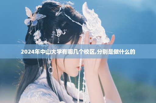 2024年中山大学有哪几个校区,分别是做什么的