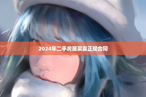 2024年二手房屋买卖正规合同