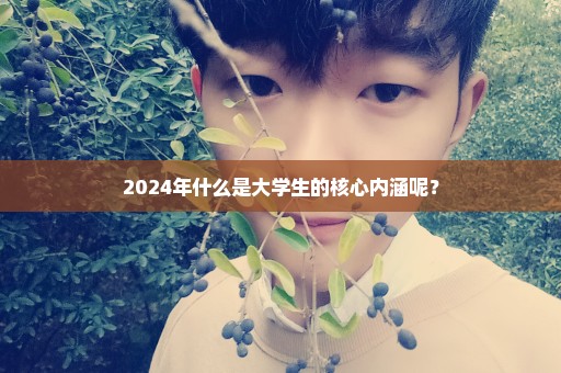 2024年什么是大学生的核心内涵呢？