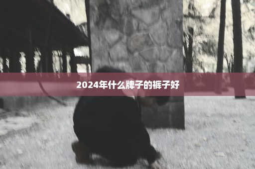 2024年什么牌子的裤子好