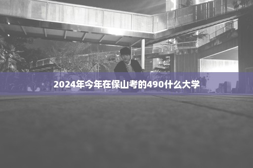 2024年今年在保山考的490什么大学