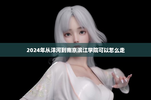 2024年从洋河到南京滨江学院可以怎么走