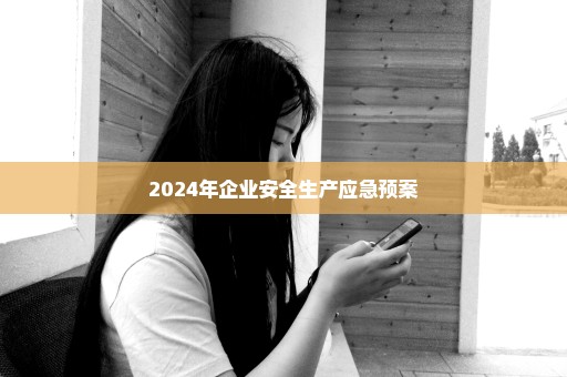 2024年企业安全生产应急预案