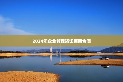 2024年企业管理咨询项目合同