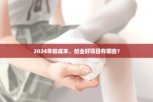 2024年低成本、创业好项目有哪些？