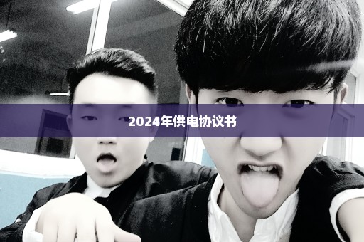 2024年供电协议书