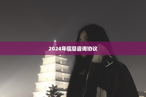 2024年信息咨询协议