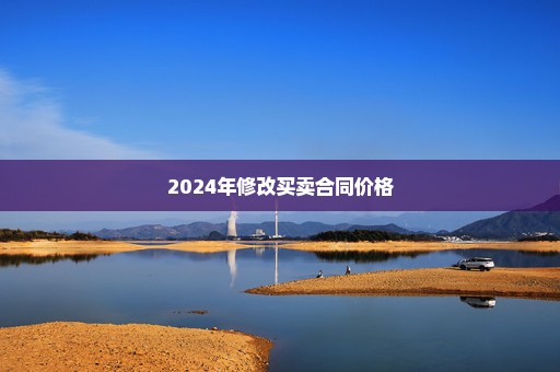 2024年修改买卖合同价格