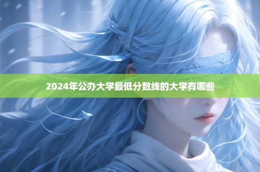 2024年公办大学最低分数线的大学有哪些