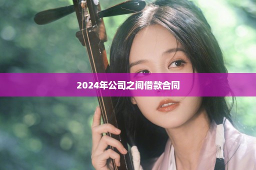 2024年公司之间借款合同