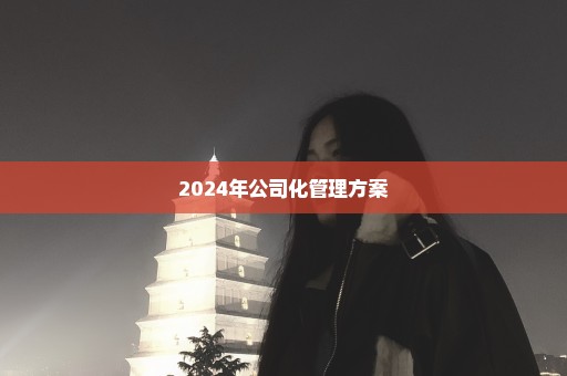 2024年公司化管理方案