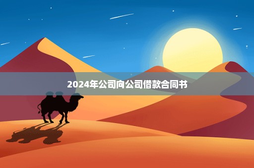 2024年公司向公司借款合同书