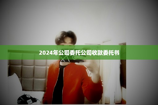 2024年公司委托公司收款委托书