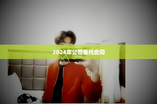 2024年公司委托合同