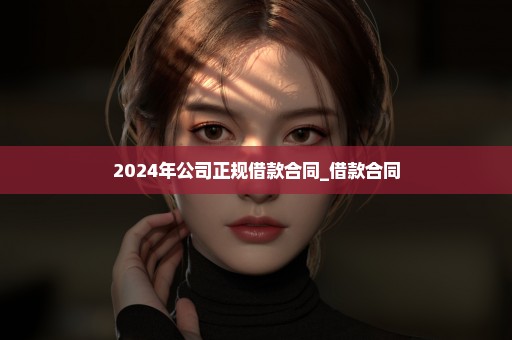 2024年公司正规借款合同_借款合同