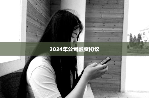 2024年公司融资协议