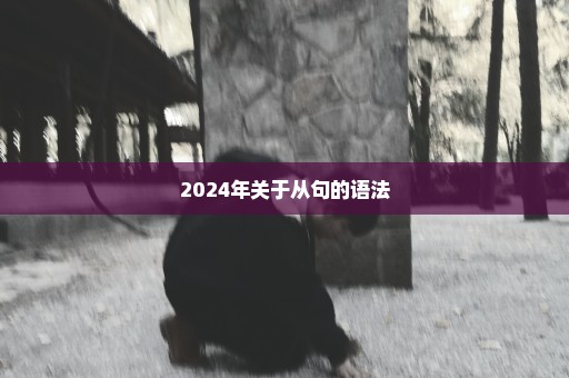 2024年关于从句的语法