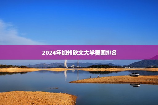 2024年加州欧文大学美国排名