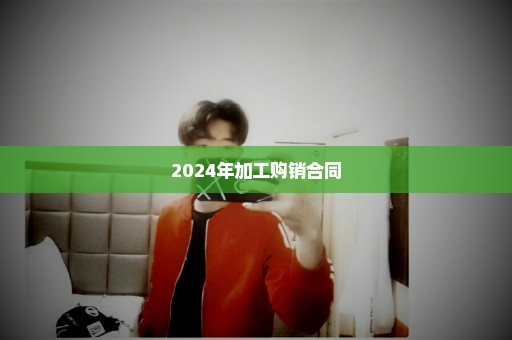 2024年加工购销合同