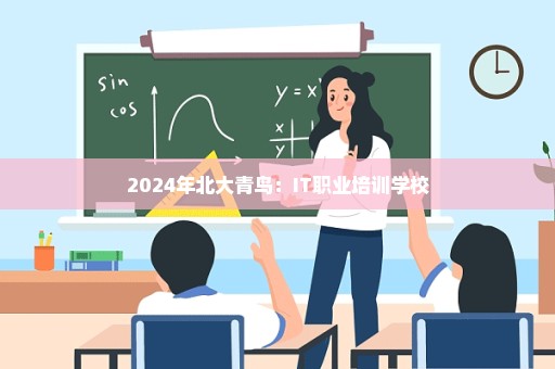 2024年北大青鸟：IT职业培训学校