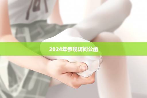 2024年参观访问公函