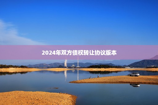 2024年双方债权转让协议版本