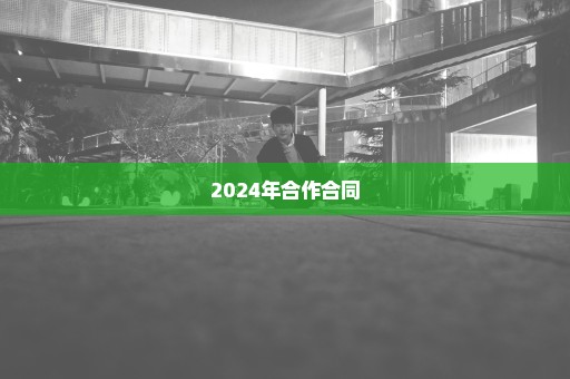 2024年合作合同