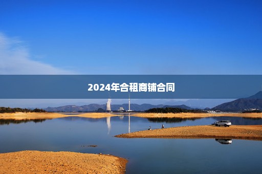 2024年合租商铺合同