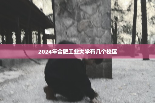 2024年合肥工业大学有几个校区