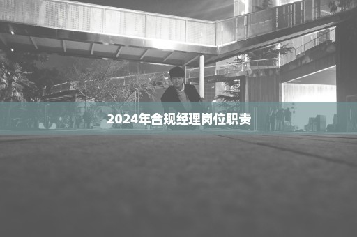 2024年合规经理岗位职责