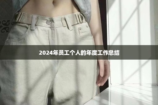 2024年员工个人的年度工作总结