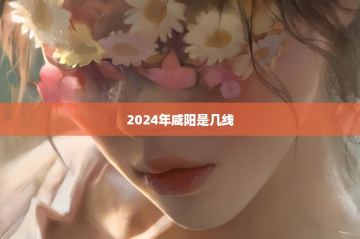 2024年咸阳是几线