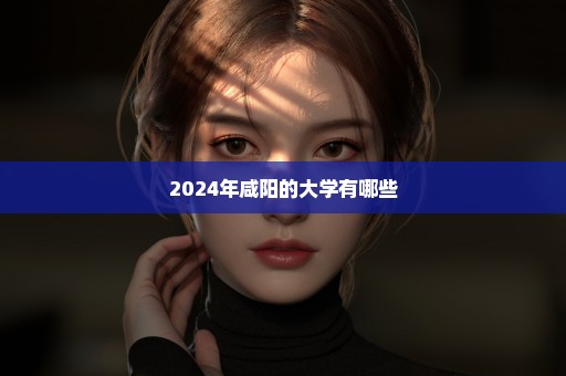 2024年咸阳的大学有哪些