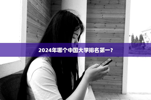 2024年哪个中国大学排名第一？