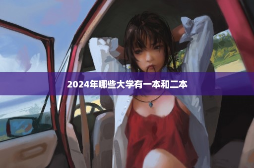 2024年哪些大学有一本和二本