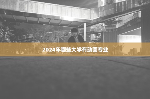 2024年哪些大学有动画专业