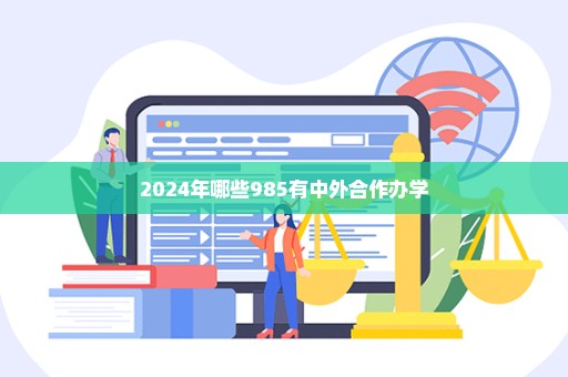 2024年哪些985有中外合作办学