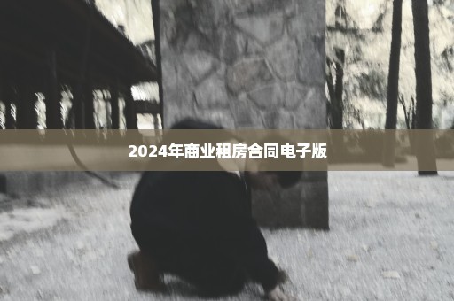 2024年商业租房合同电子版