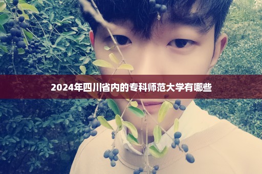 2024年四川省内的专科师范大学有哪些